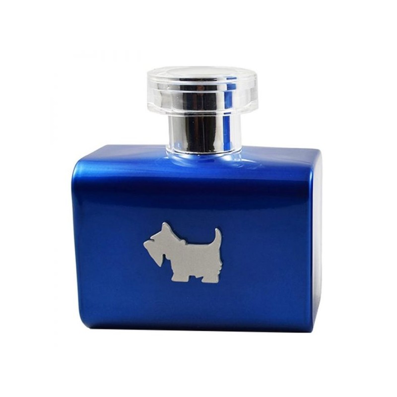 Perfume Ferrioni Terrier Blue para hombre
